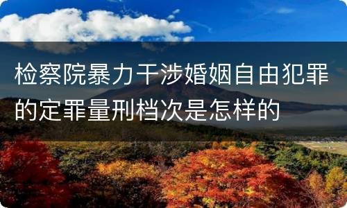 检察院暴力干涉婚姻自由犯罪的定罪量刑档次是怎样的