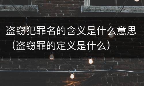 盗窃犯罪名的含义是什么意思（盗窃罪的定义是什么）
