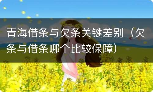青海借条与欠条关键差别（欠条与借条哪个比较保障）