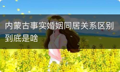 内蒙古事实婚姻同居关系区别到底是啥