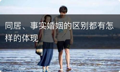 同居、事实婚姻的区别都有怎样的体现