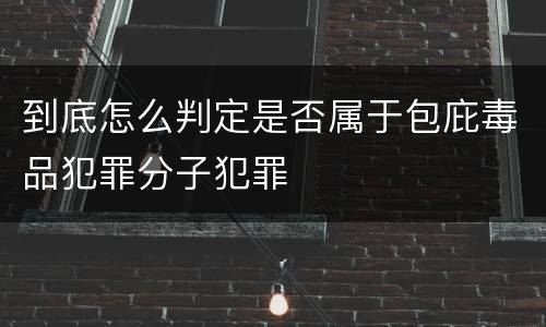 到底怎么判定是否属于包庇毒品犯罪分子犯罪