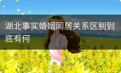 湖北事实婚姻同居关系区别到底有何