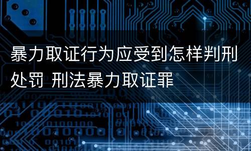 暴力取证行为应受到怎样判刑处罚 刑法暴力取证罪