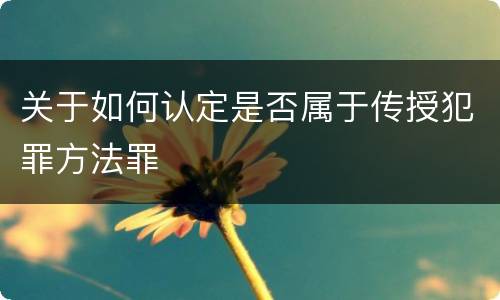 关于如何认定是否属于传授犯罪方法罪