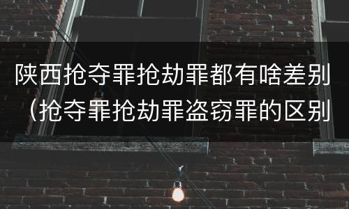 陕西抢夺罪抢劫罪都有啥差别（抢夺罪抢劫罪盗窃罪的区别）