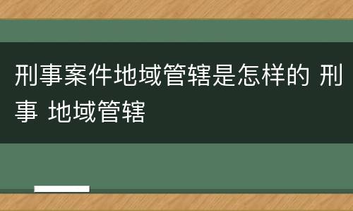 刑事案件地域管辖是怎样的 刑事 地域管辖