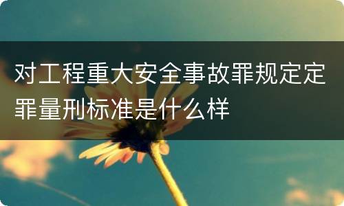 对工程重大安全事故罪规定定罪量刑标准是什么样