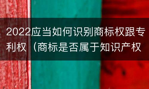 2022应当如何识别商标权跟专利权（商标是否属于知识产权）