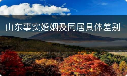 山东事实婚姻及同居具体差别