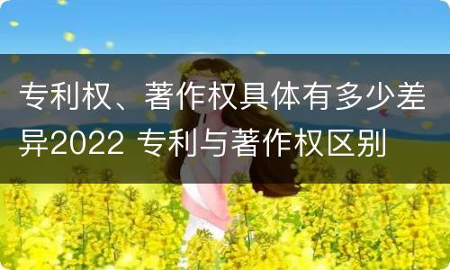 专利权、著作权具体有多少差异2022 专利与著作权区别
