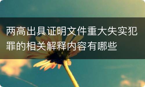 两高出具证明文件重大失实犯罪的相关解释内容有哪些