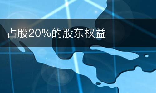 占股20%的股东权益