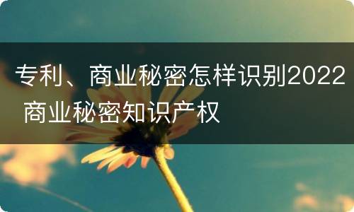 专利、商业秘密怎样识别2022 商业秘密知识产权