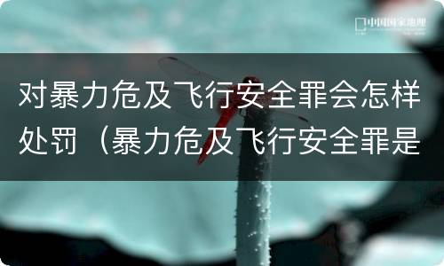对暴力危及飞行安全罪会怎样处罚（暴力危及飞行安全罪是危险犯吗）