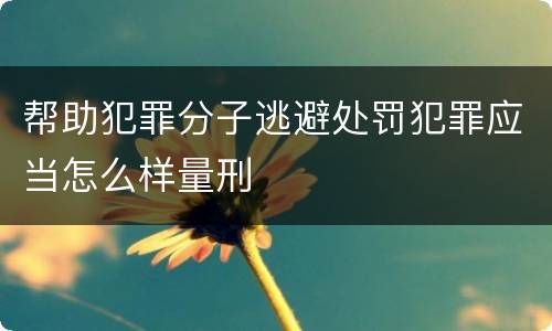 帮助犯罪分子逃避处罚犯罪应当怎么样量刑