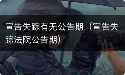 宣告失踪有无公告期（宣告失踪法院公告期）
