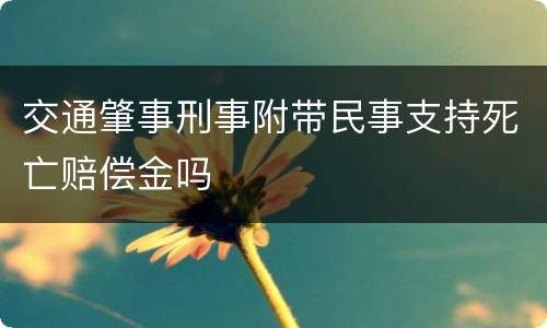 交通肇事刑事附带民事支持死亡赔偿金吗
