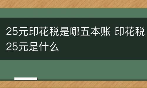 25元印花税是哪五本账 印花税25元是什么