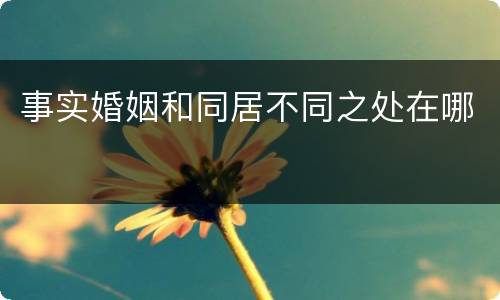 事实婚姻和同居不同之处在哪