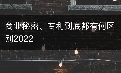 商业秘密、专利到底都有何区别2022