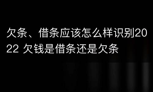 欠条、借条应该怎么样识别2022 欠钱是借条还是欠条