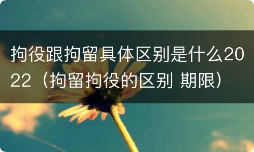 拘役跟拘留具体区别是什么2022（拘留拘役的区别 期限）