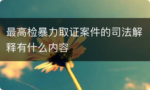 最高检暴力取证案件的司法解释有什么内容
