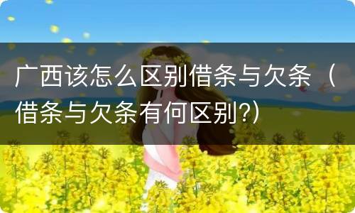 广西该怎么区别借条与欠条（借条与欠条有何区别?）