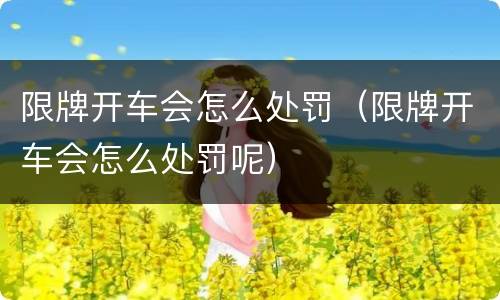 限牌开车会怎么处罚（限牌开车会怎么处罚呢）