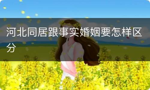河北同居跟事实婚姻要怎样区分
