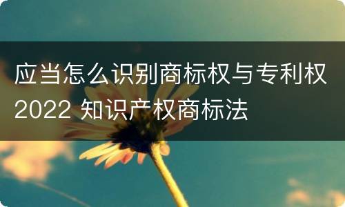 应当怎么识别商标权与专利权2022 知识产权商标法