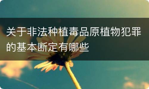 关于非法种植毒品原植物犯罪的基本断定有哪些