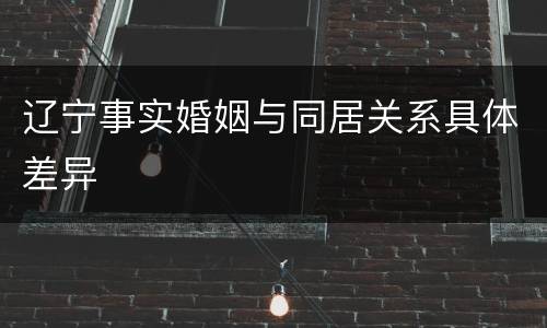辽宁事实婚姻与同居关系具体差异