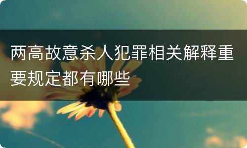 两高故意杀人犯罪相关解释重要规定都有哪些