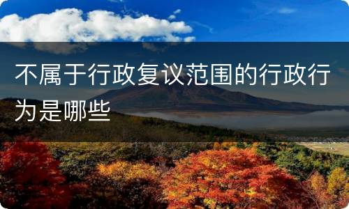 不属于行政复议范围的行政行为是哪些