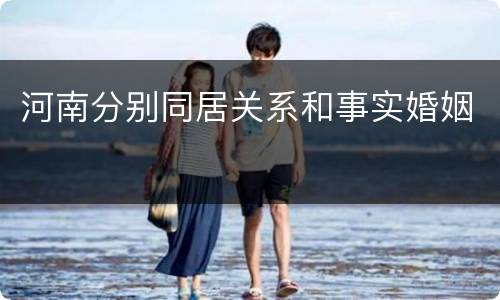 河南分别同居关系和事实婚姻