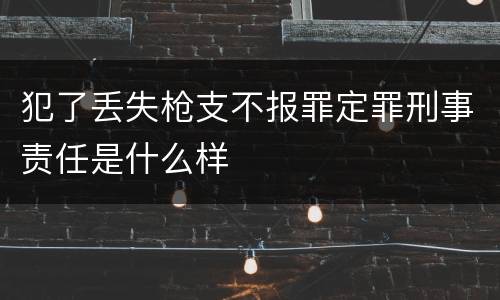 犯了丢失枪支不报罪定罪刑事责任是什么样