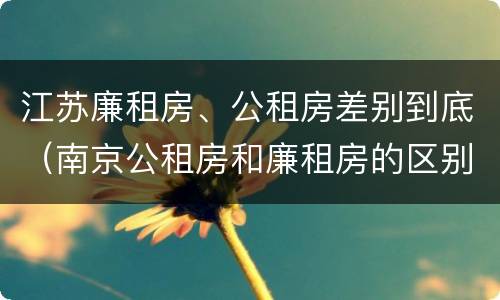 江苏廉租房、公租房差别到底（南京公租房和廉租房的区别）