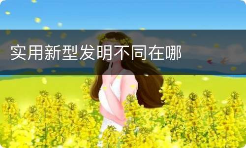 实用新型发明不同在哪