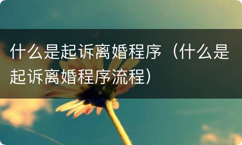什么是起诉离婚程序（什么是起诉离婚程序流程）