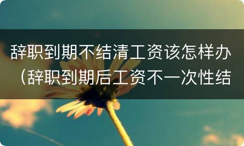 辞职到期不结清工资该怎样办（辞职到期后工资不一次性结清）