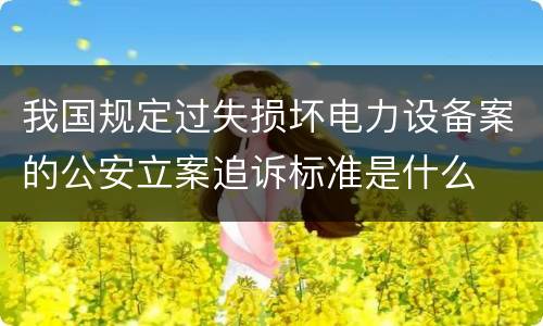 我国规定过失损坏电力设备案的公安立案追诉标准是什么