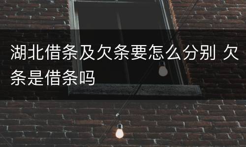 湖北借条及欠条要怎么分别 欠条是借条吗