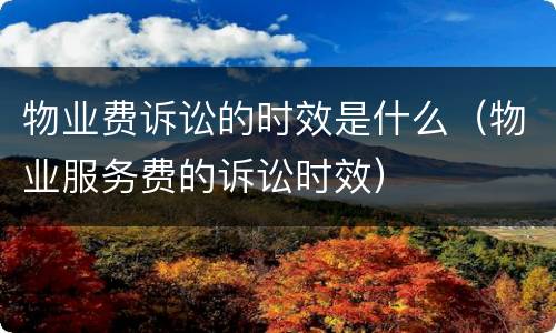 物业费诉讼的时效是什么（物业服务费的诉讼时效）
