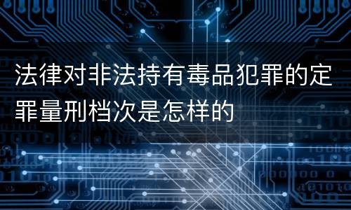 法律对非法持有毒品犯罪的定罪量刑档次是怎样的
