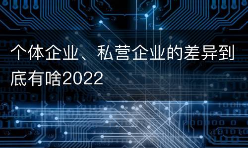 个体企业、私营企业的差异到底有啥2022