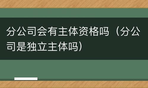 分公司会有主体资格吗（分公司是独立主体吗）