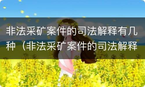 非法采矿案件的司法解释有几种（非法采矿案件的司法解释有几种形式）