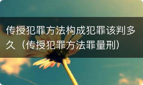 传授犯罪方法构成犯罪该判多久（传授犯罪方法罪量刑）
